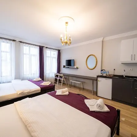 Διαμέρισμα Frame Galata *